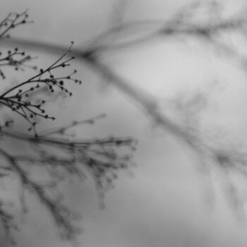 Disque vinyle Dakota Suite & Dag Rosenqvist & Emanuele Errante - What Matters Most (Translucent Coloured) (180 g) (LP) - 1