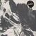 Disco de vinilo Perspex Flesh - Perspex Flesh (LP)