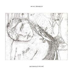 LP platňa Michel Banabila - Unspeakable Visions (LP)