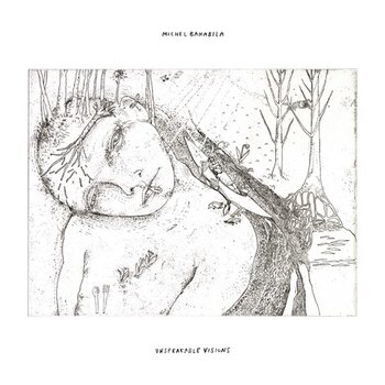 LP platňa Michel Banabila - Unspeakable Visions (LP) - 1