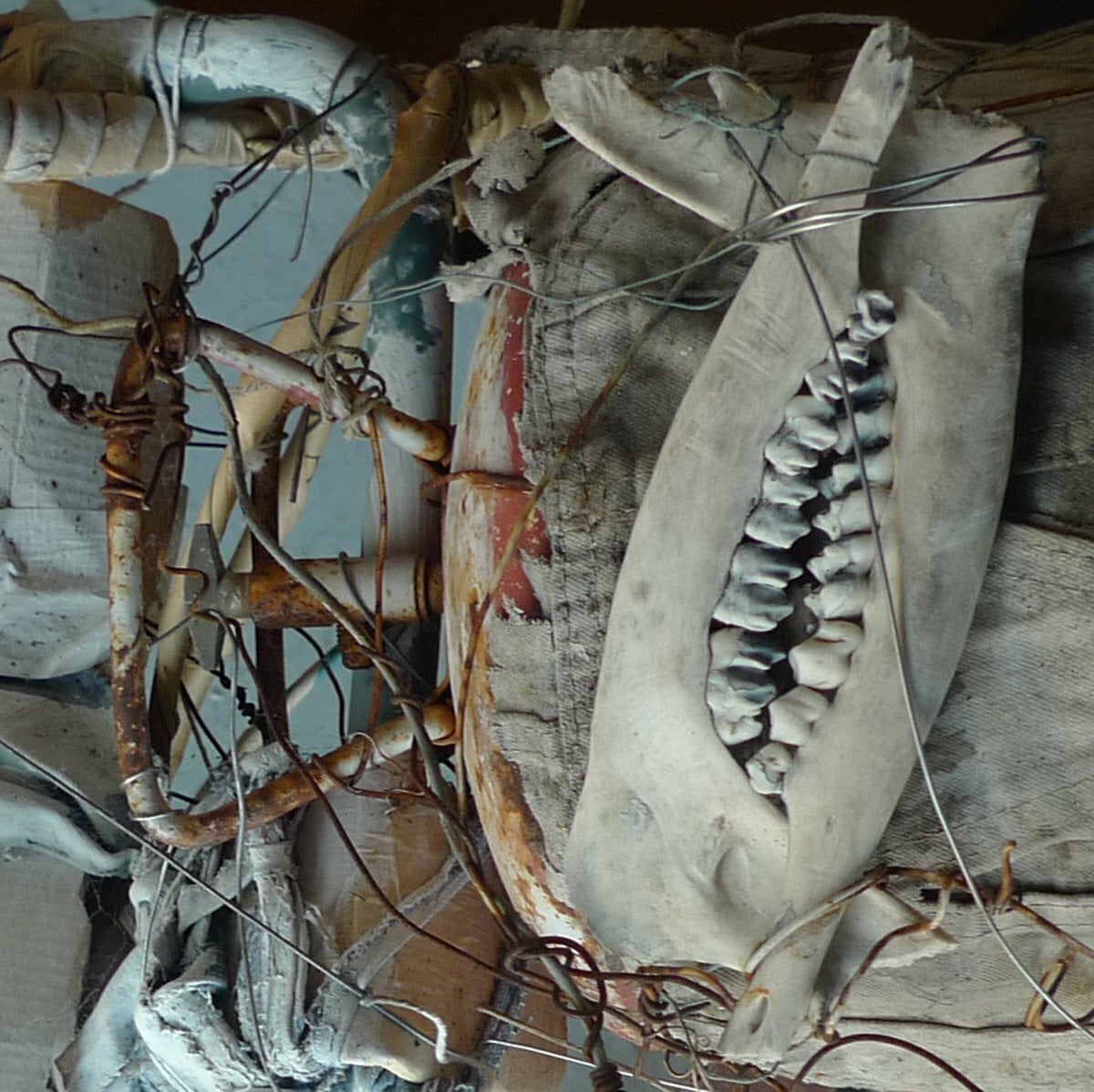 LP platňa Gas Chamber & Black Iron Prison - Public Humiliation II (LP)