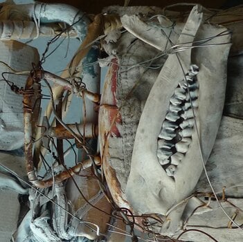 LP platňa Gas Chamber & Black Iron Prison - Public Humiliation II (LP) - 1