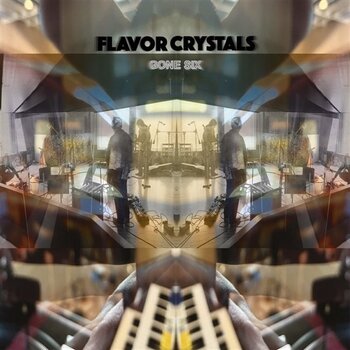 LP platňa Flavor Crystals - Gone Six (2 LP) - 1