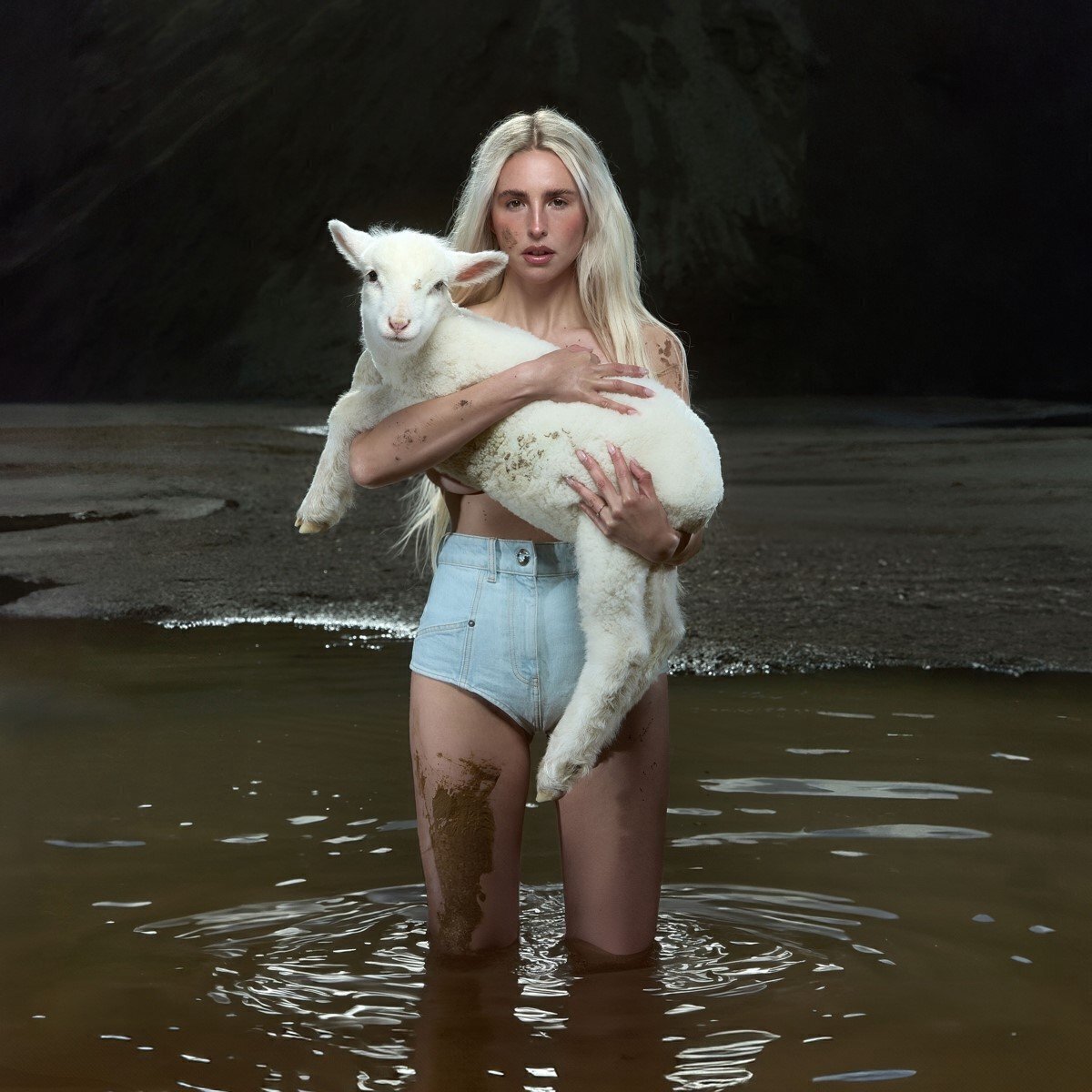 LP ploča Laurel - Palpitations (LP)