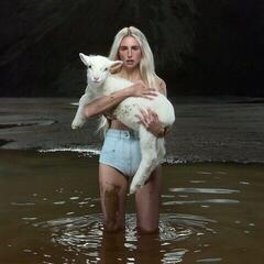 LP ploča Laurel - Palpitations (LP)