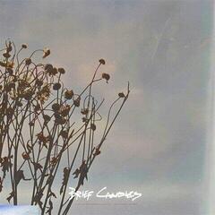 Disque vinyle Brief Candles - Unfinished Nature (LP)