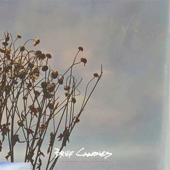 Disque vinyle Brief Candles - Unfinished Nature (LP) - 1