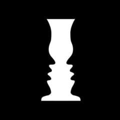 Schallplatte The Sensory Illusions - The Sensory Illusions (LP)