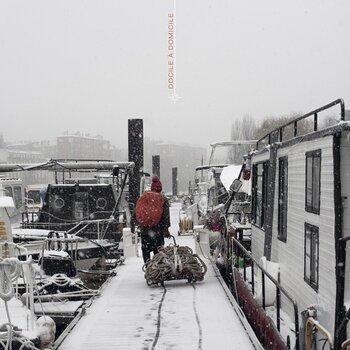 LP deska Dizzylez - Docile A Domicile (LP) - 1