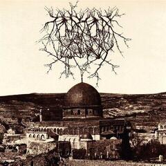 Hanglemez Entropy Created Consciousness - Impressions Of The Morning Star (LP)