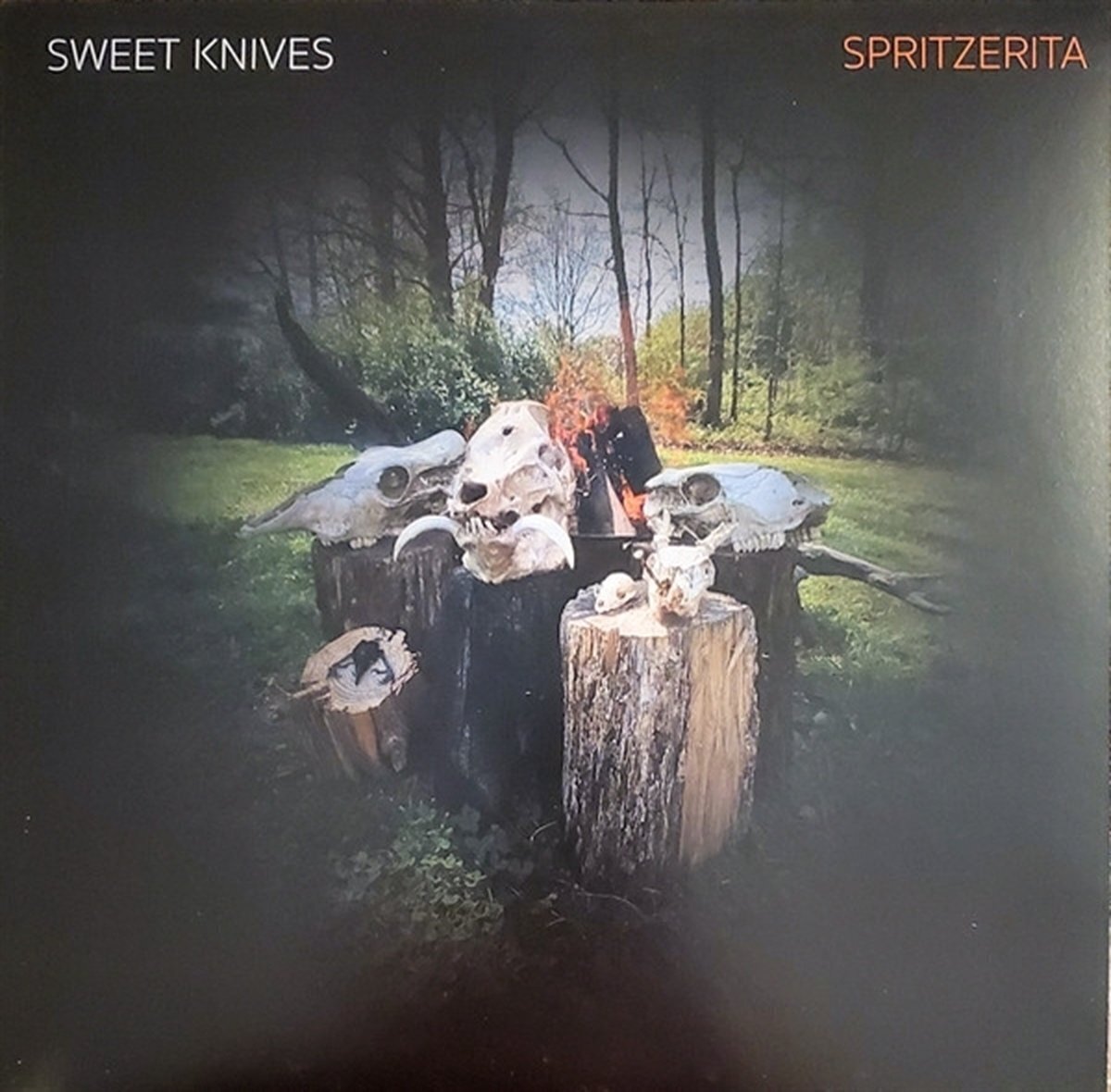 Płyta winylowa Sweet Knives - Spritzerita (LP)