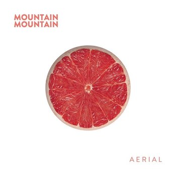 LP ploča Mountain Mountain - Aerial (Limited Edition) (LP) - 1