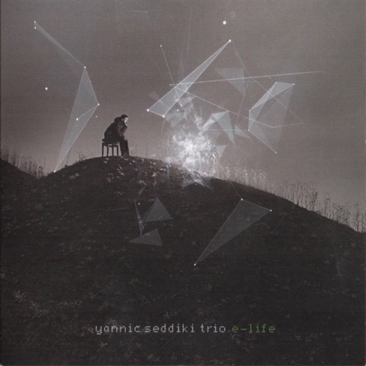 Disco de vinilo Yannic Seddiki Trio - E Life (LP)