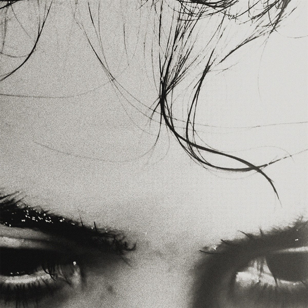 LP deska PLYXY - Gloryland (LP)