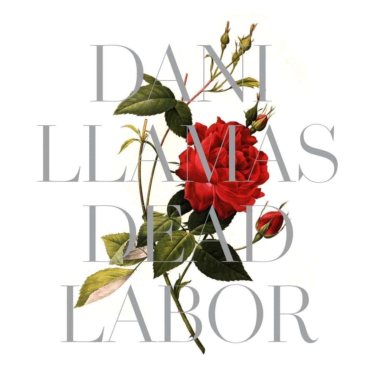 Disque vinyle Dani Llamas - Dead Labor (LP)