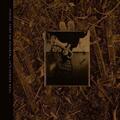 Pixies - Come On Pilgrim... It's Surfer Rosa (Reissue) (Gold Coloured) (3 LP)
