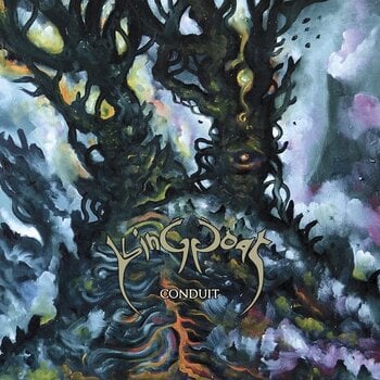 LP platňa King Goat - Conduit (Limited Edition) (2 LP) - 1