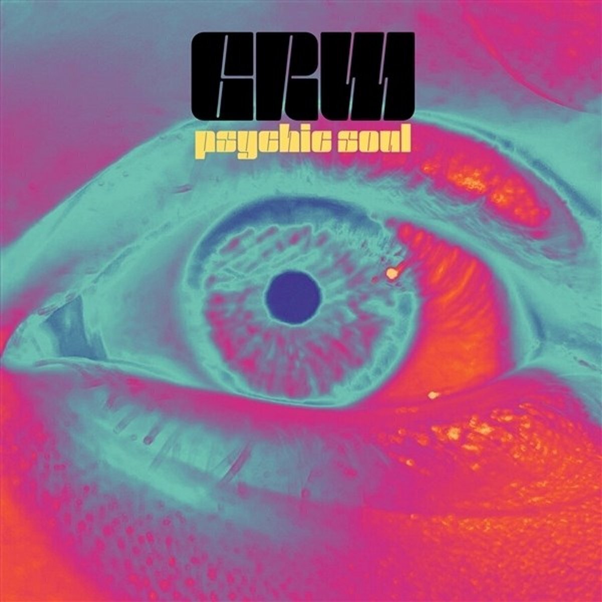 Schallplatte Gary Russell Wertz - Psychic Soul (Limited Edition) (LP)