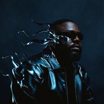 LP ploča Prinzly - Passager (()) (2 LP) - 1