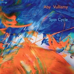 Hanglemez Aby Vulliamy - Spin Cycle (LP)