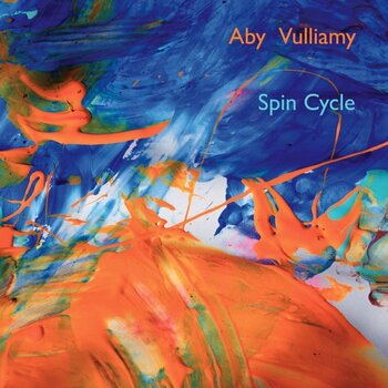 Hanglemez Aby Vulliamy - Spin Cycle (LP) - 1