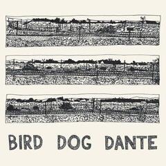 Płyta winylowa John Parish - Bird Dog Dante (LP)