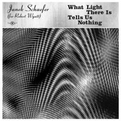 LP deska Janek Schaefer - What Light There Is Tells Us Nothing (LP)