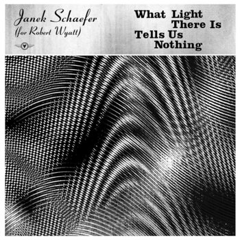 LP deska Janek Schaefer - What Light There Is Tells Us Nothing (LP) - 1
