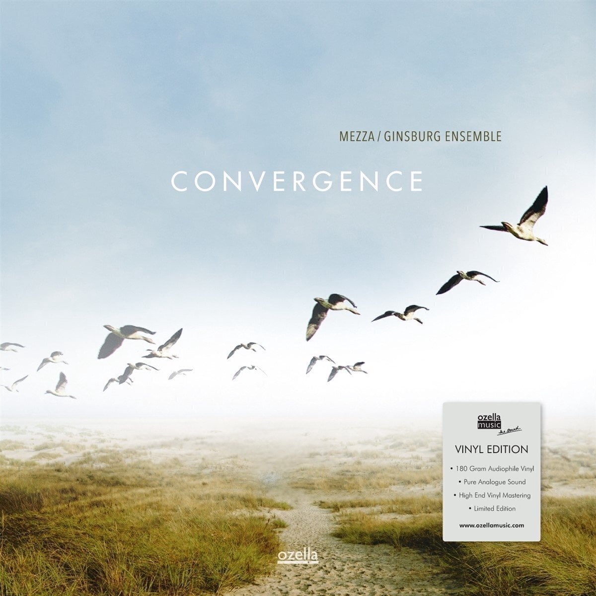 Disco in vinile Mezza / Ginsburg Ensemble - Convergence (Limited Edition) (LP)
