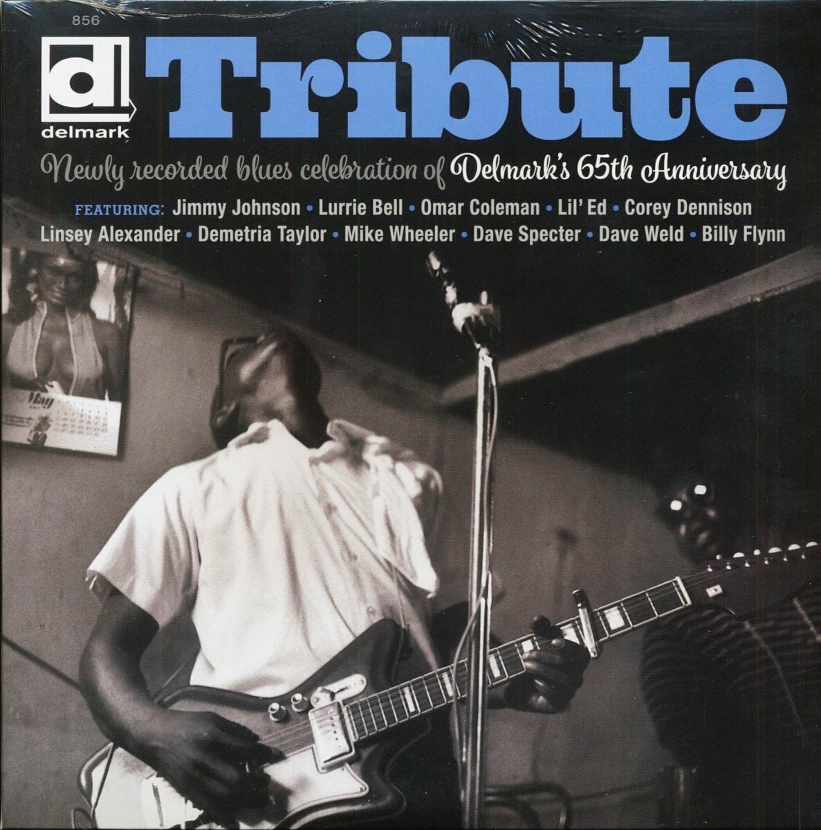 Schallplatte Various Artists - Tribute (Limited Edition) (LP)