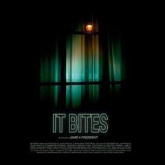 LP ploča Jamie 4 President - Jamie 4 President (LP)