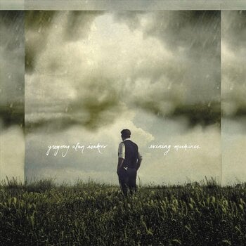 Schallplatte Gregory Alan Isakov - Evening Machines (Limited Edition) (180 g) (LP) - 1