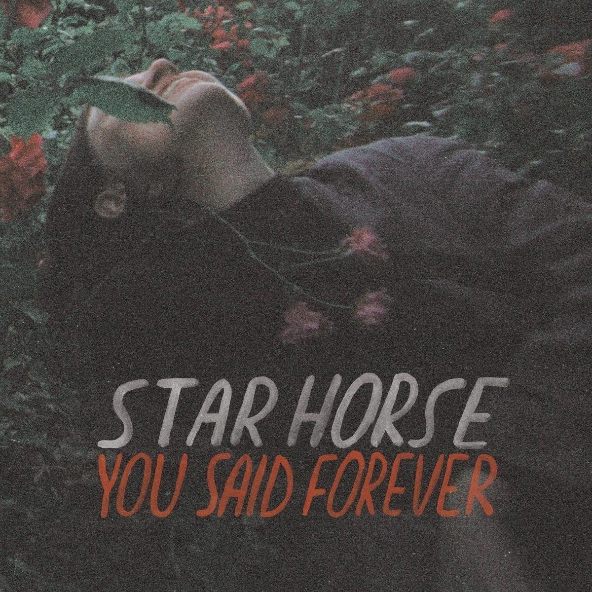 Вінілові платівки Star Horse - You Said Forever (Limited Edition) (LP)