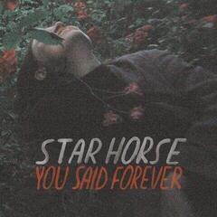 Вінілові платівки Star Horse - You Said Forever (Limited Edition) (LP)