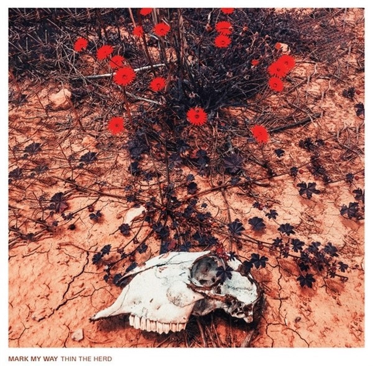 Disque vinyle Mark My Way - Thin The Herd (LP)
