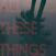 Δίσκος LP Thomas Dybdahl - All These Things (LP)