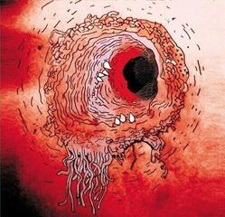 Disco de vinilo Flying Luttenbachers - Terror Iredescence (LP)