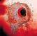 Vinylplade Flying Luttenbachers - Terror Iredescence (LP)
