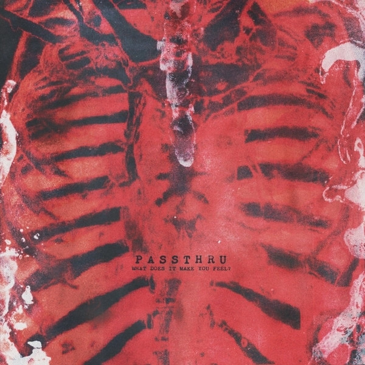 Disco de vinilo Passthru - What Does It Make You Feel? (LP)