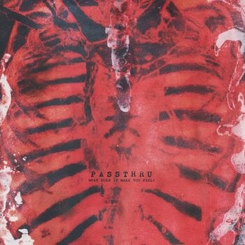 Disco de vinilo Passthru - What Does It Make You Feel? (LP) - 1