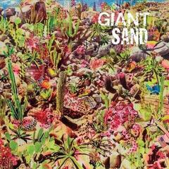 Δίσκος LP Giant Sand - Returns To Valley Of Rain (LP)
