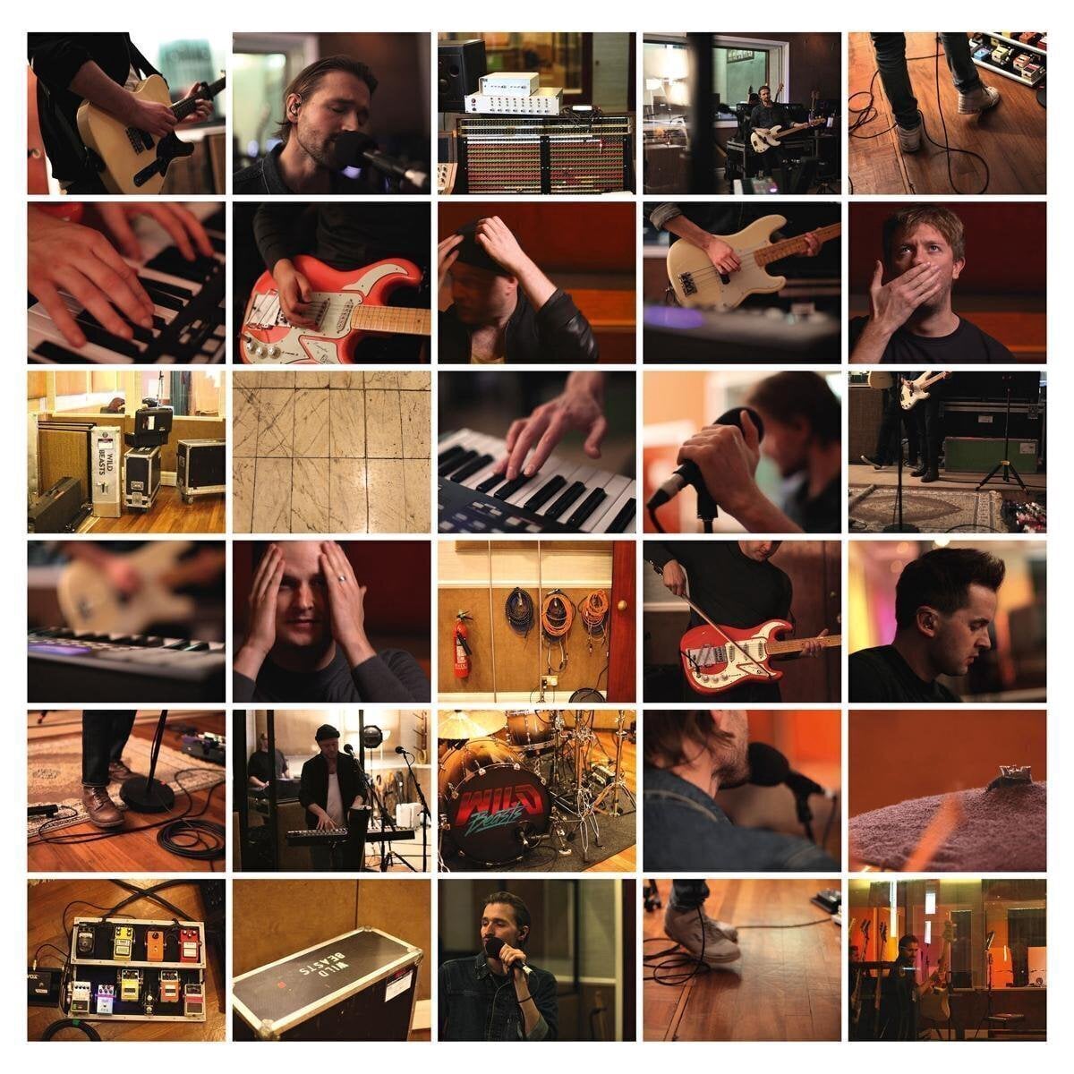 LP platňa Wild Beasts - Last Night All My Dreams Came True (2 LP)