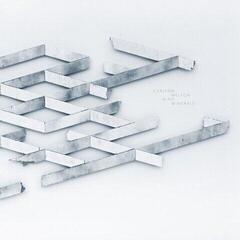 LP ploča Carlton Melton - Mind Minerals (Orange Coloured) (2LP)