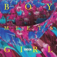 LP deska Endon - Boy Meets Girl (LP)