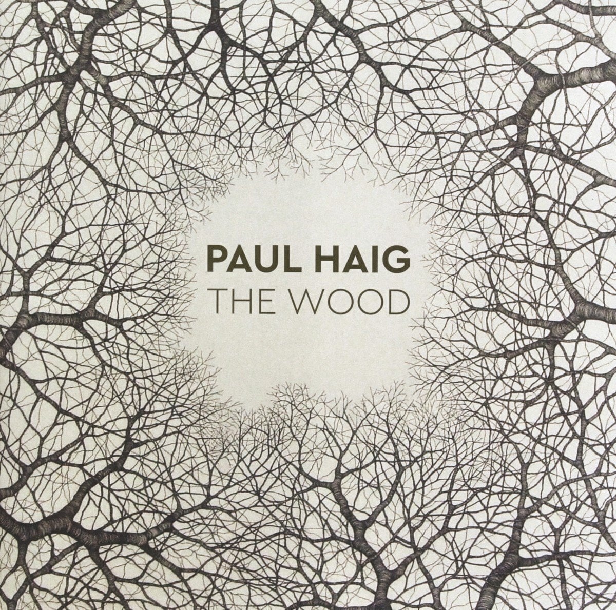 Disc de vinil Paul Haig - The Wood (Box Set) (LP)
