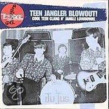 Vinyl Record Various Artists - Teen Jangler Blowout! (LP) - 1
