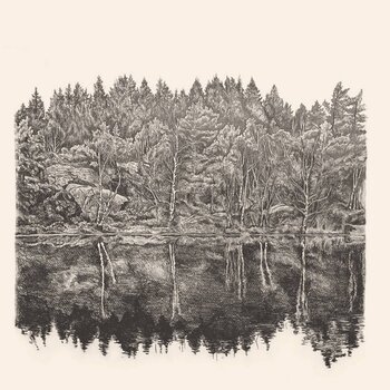 LP ploča Fletcher Tucker - Unlit Trail (LP) - 1