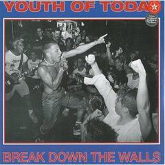 LP deska Youth Of Today - Break Down The Walls (Limited Edition) (LP)