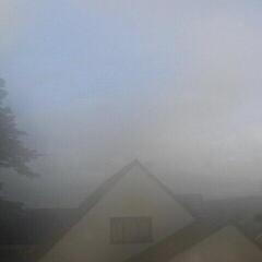 LP deska This Is Where - This Is Where (LP)