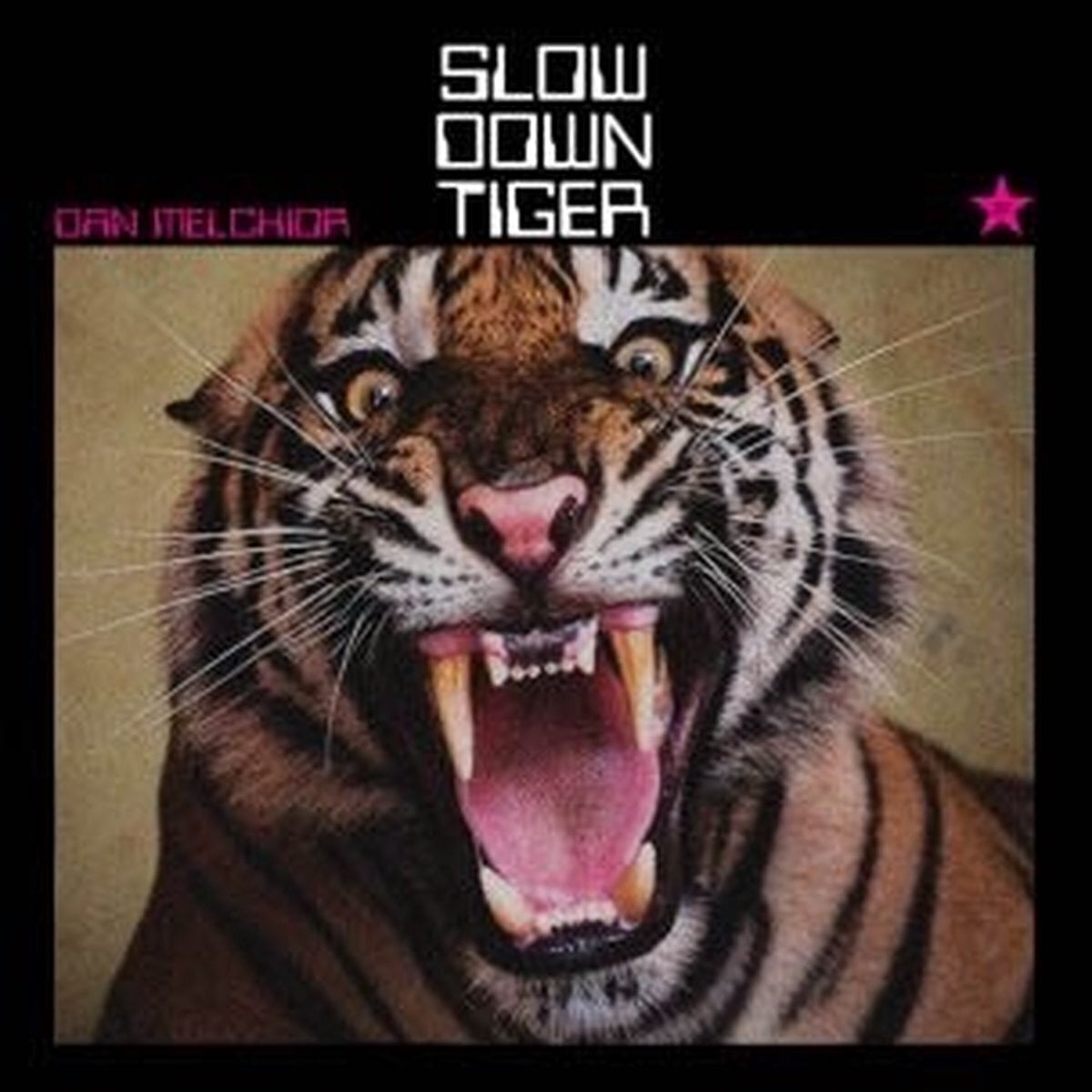 Disque vinyle Dan -& The Broke- Melchior - Slow Down Tiger (LP)